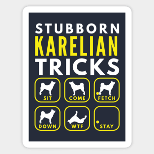 Stubborn Karelian Bear Dog Tricks - Dog Training Magnet